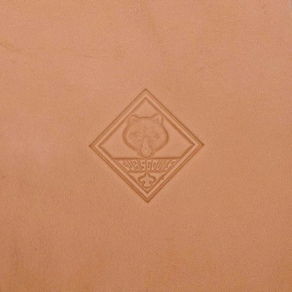 3D Stamp - Cub Scout 3 3D Stamp - Cub Scout