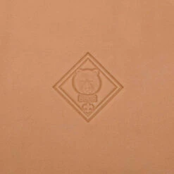 3D Stamp - Scout Bear