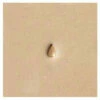 Stamping Tool - P233 - Pear Shader 1 Stamping Tool - P233 - Pear Shader -Home Tools Sales 2024 6233 00.SLC