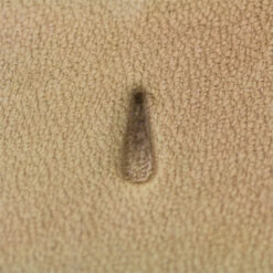 Stamping Tool - F902