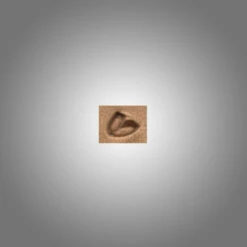 Stamping Tool - D442(B)