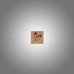 Stamping Tool - R451(B)